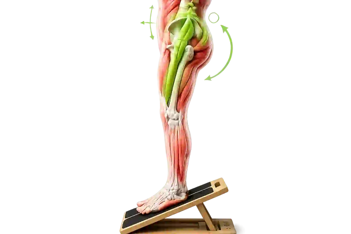 Improve Hip & Lower Back Mobility