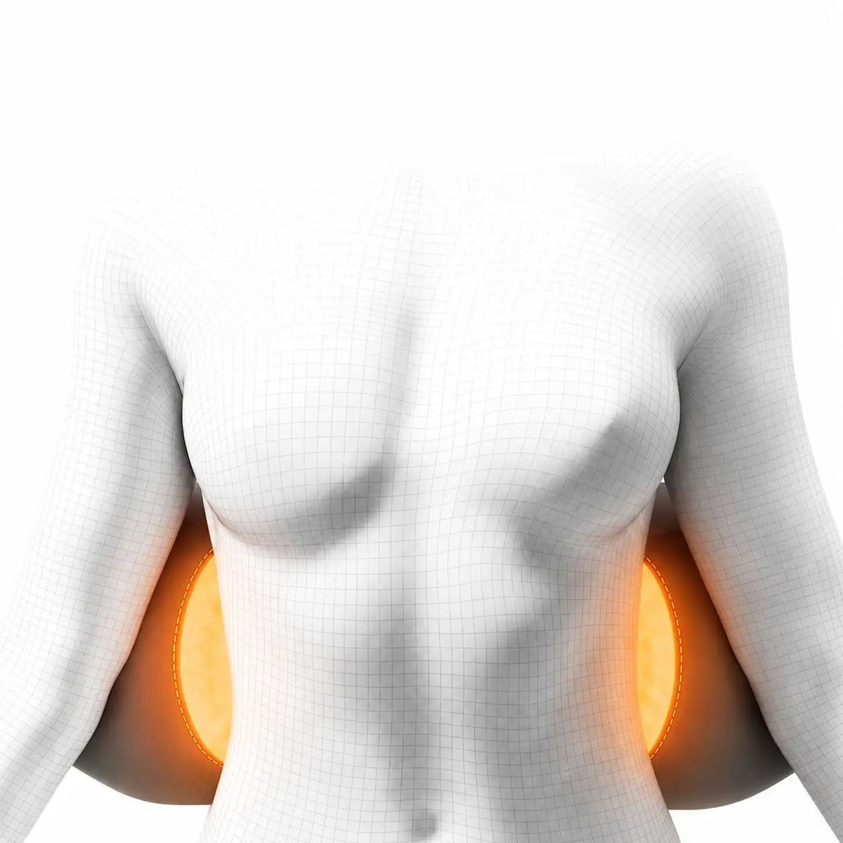 3D illustration of a torso with warm glowing massage zones on the lower back