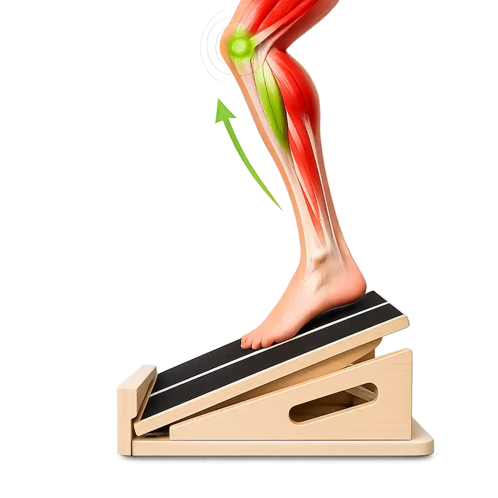 Activate Your Quads & VMO